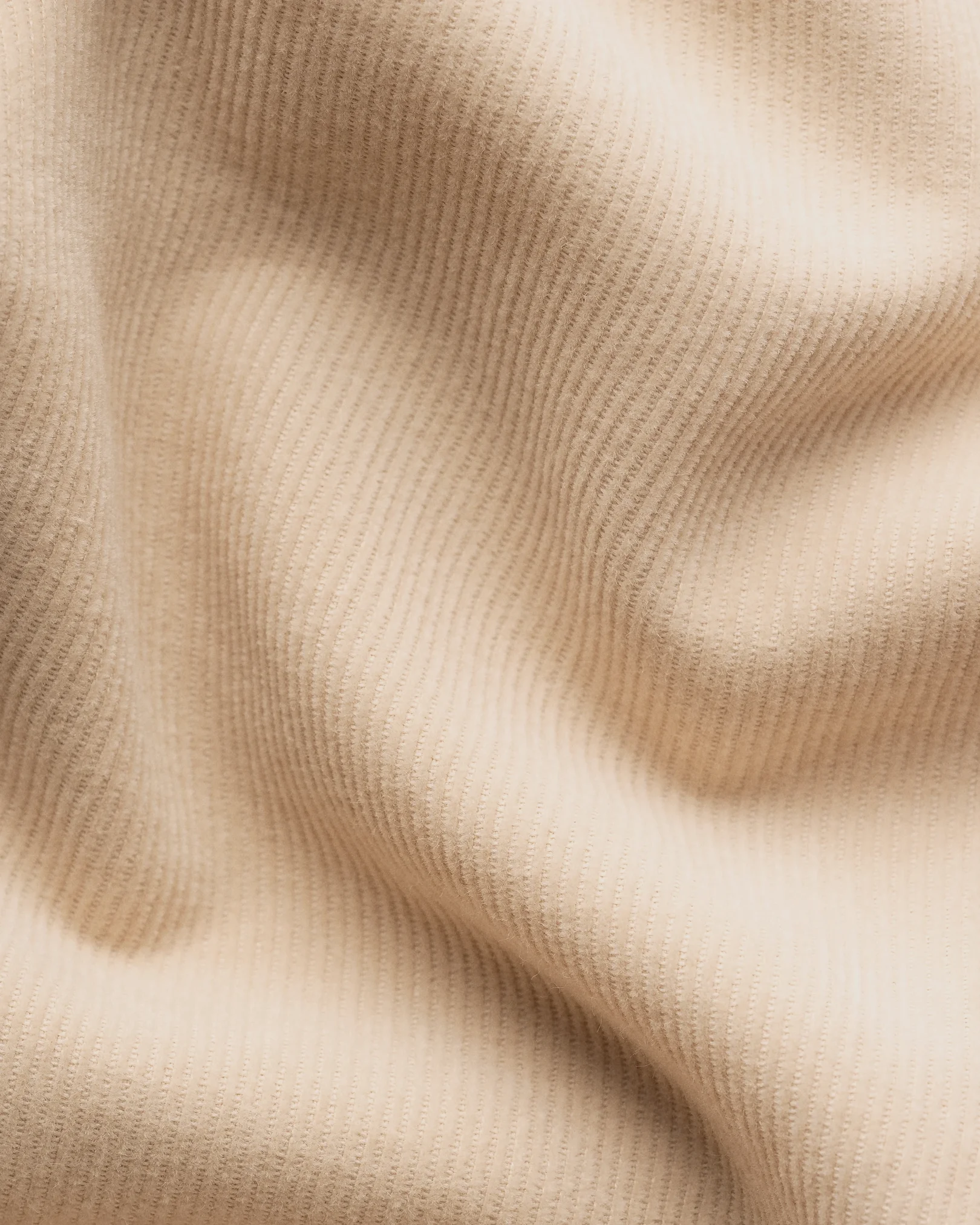 Corduroy