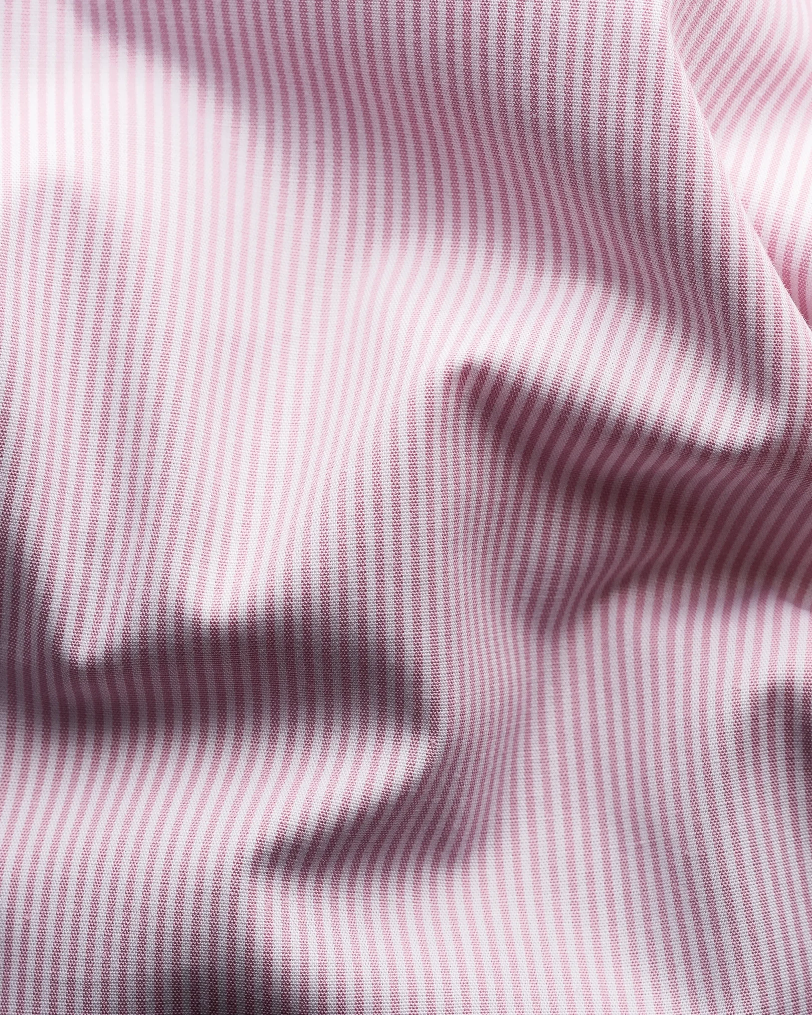 Signature Poplin