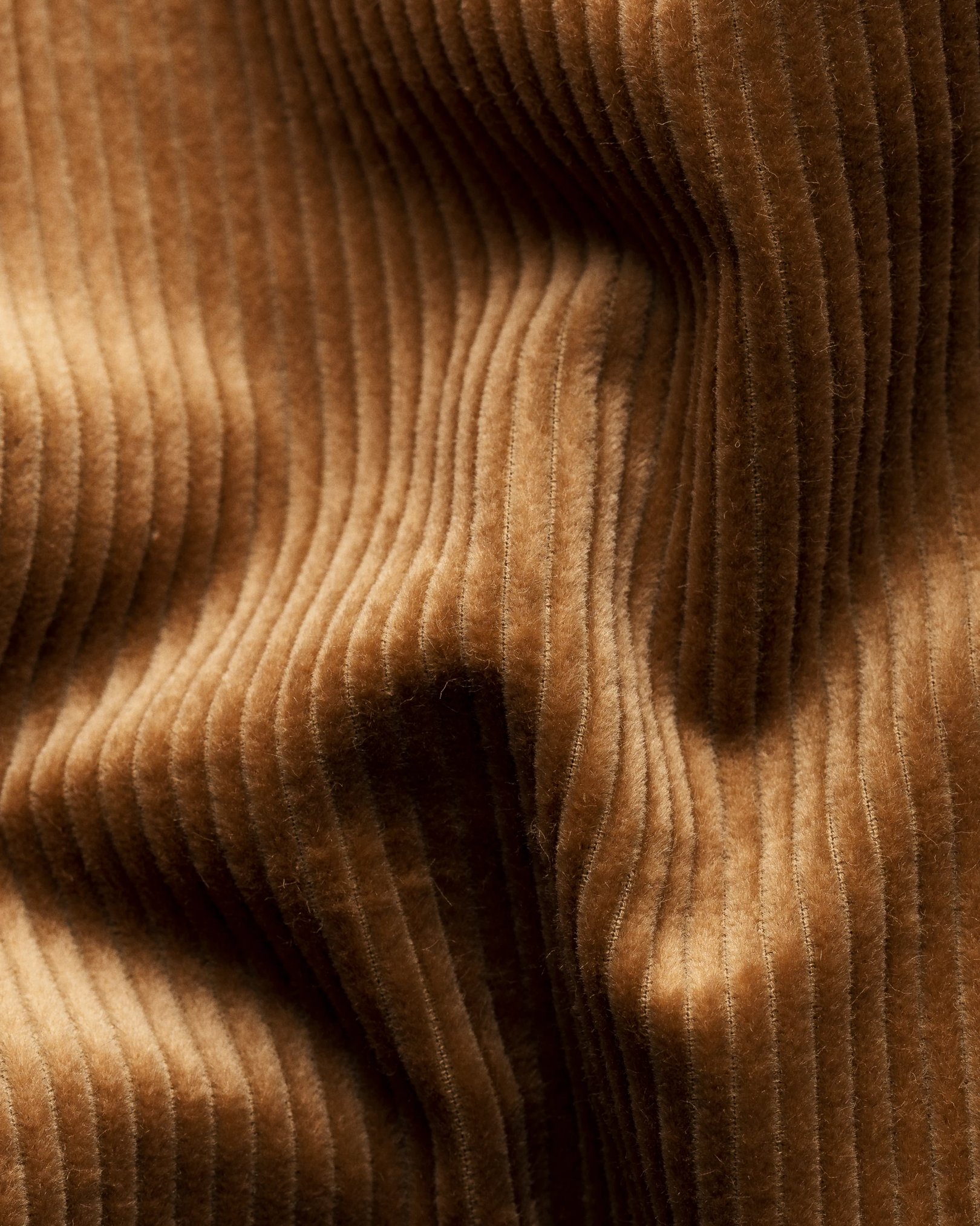 Corduroy