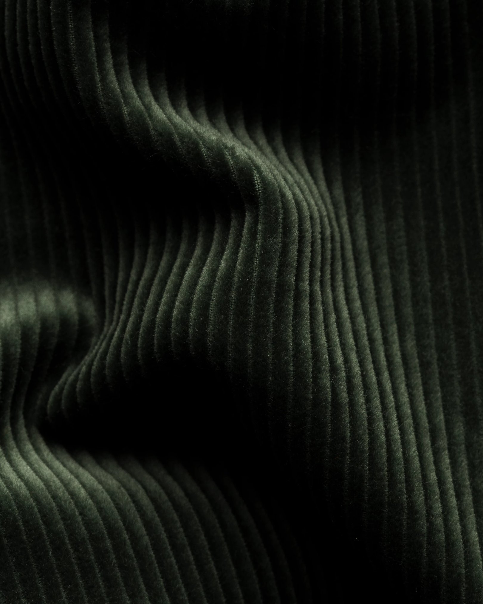 Corduroy