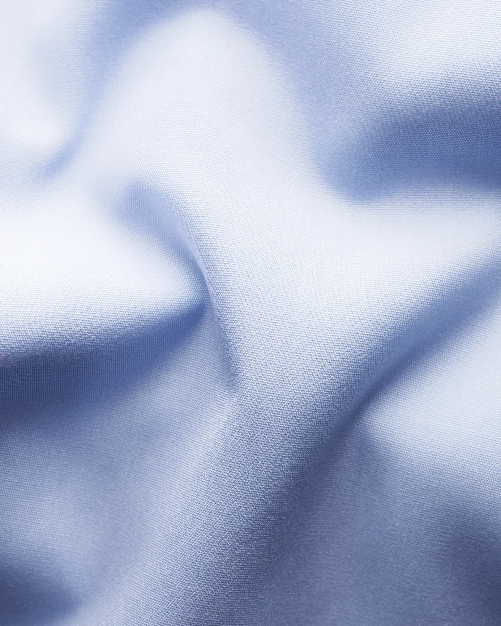 Eton - light blue poplin shirt mushroom print details